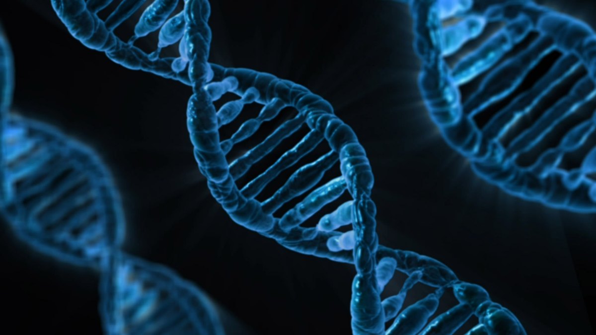 The Panacea Universe — the connected research and trials map of Bogdan Dicoias at Panacea Bio Chem, spanning peptide preservation, computational design and regenerative biology